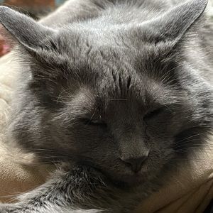 Meet your Posher, Monika